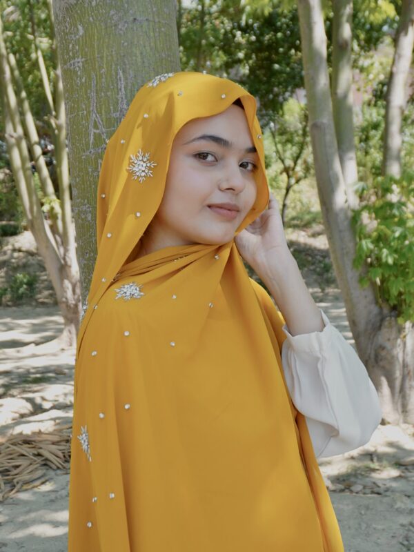 Qamar Embellished Chiffon Scarf – Mustard Gold