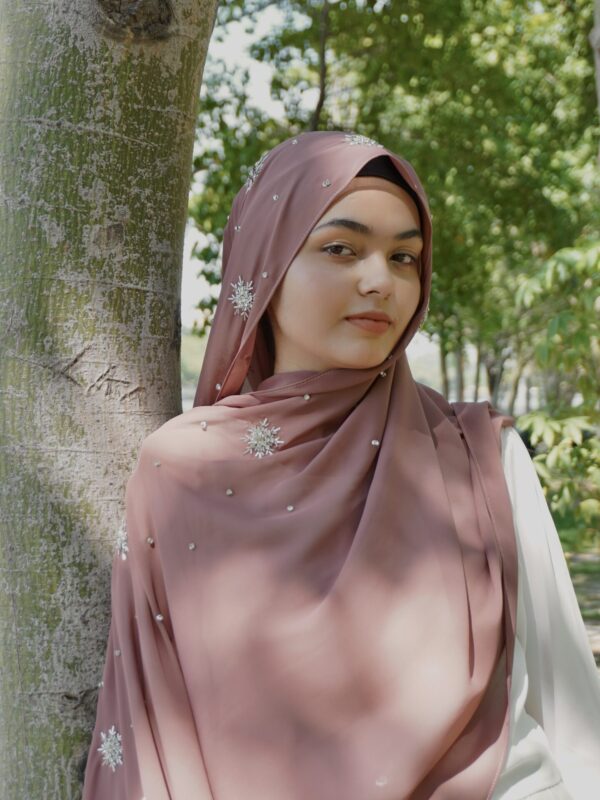 Qamar Embellished Chiffon Scarf – Dusty Rose