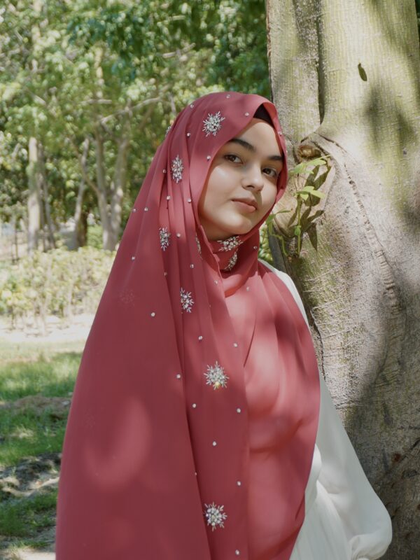 Qamar Embellished Chiffon Scarf – Deep Maroon