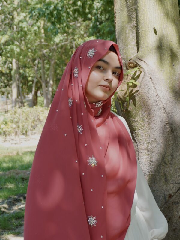 Qamar Embellished Chiffon Scarf – Deep Maroon